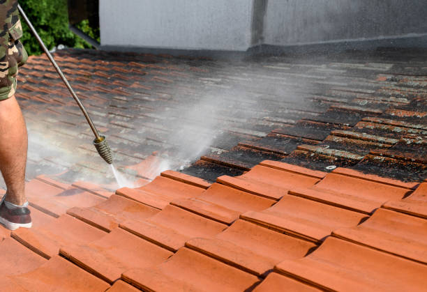 Best Fence Pressure Washing  in West Monroe, MI