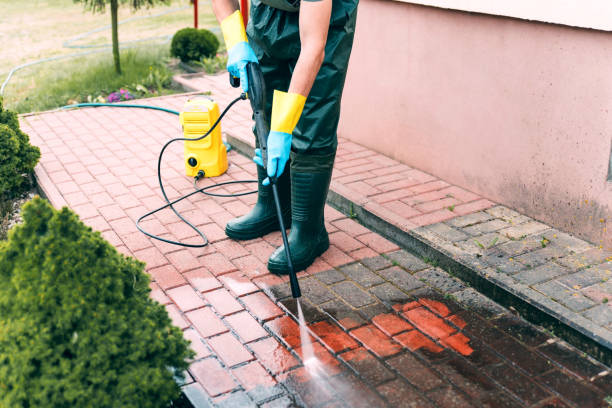 Best Roof Power Washing Services  in West Monroe, MI