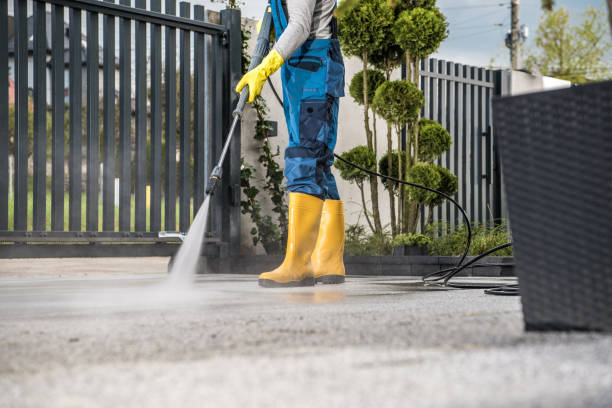 Best Residential Pressure Washing Services  in West Monroe, MI