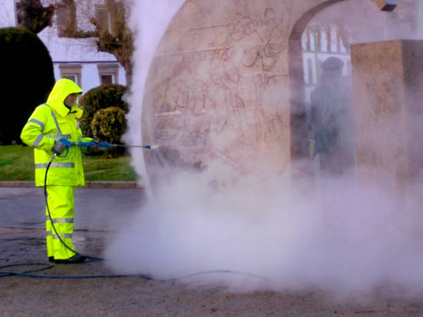 Best Roof Power Washing Services  in West Monroe, MI
